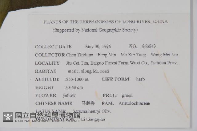 馬蹄香藏品圖，第2張