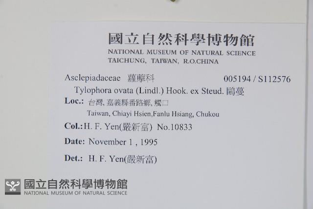 鷗蔓藏品圖，第2張