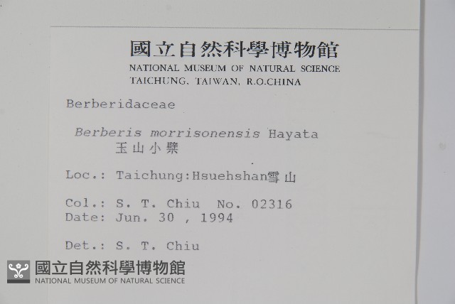 玉山小蘗藏品圖，第2張