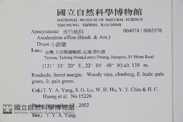 小錦蘭藏品圖，第2張