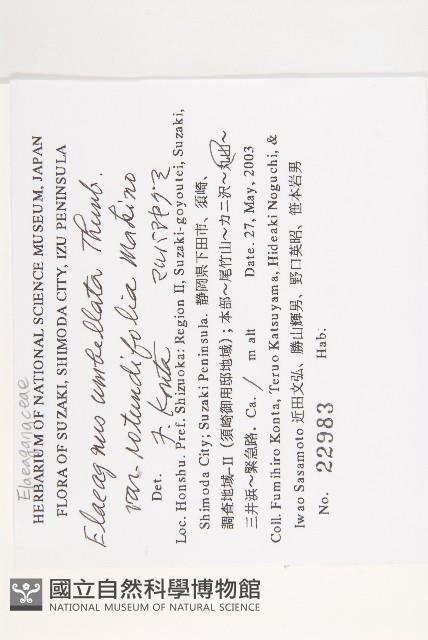 登錄號:S130686藏品圖，第2張