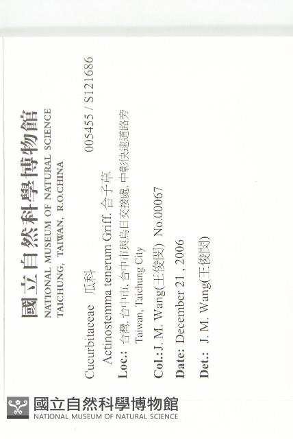 合子草藏品圖，第2張