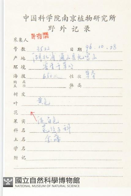 中國菟絲子藏品圖，第2張