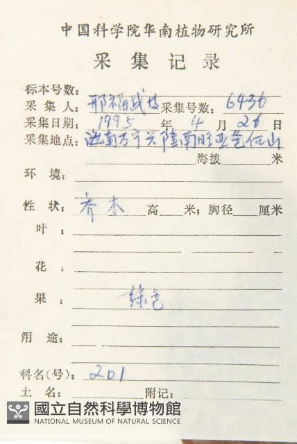 五指山柿藏品圖，第2張