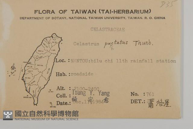 光果南蛇藤藏品圖，第2張