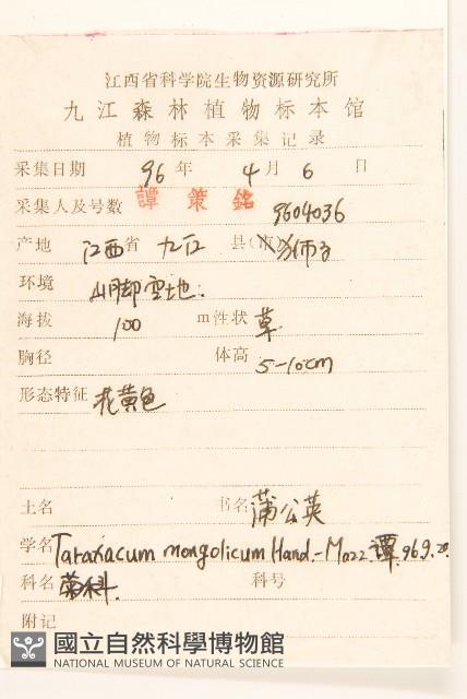 蒲公英藏品圖，第2張