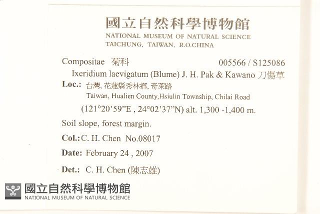 刀傷草藏品圖，第2張