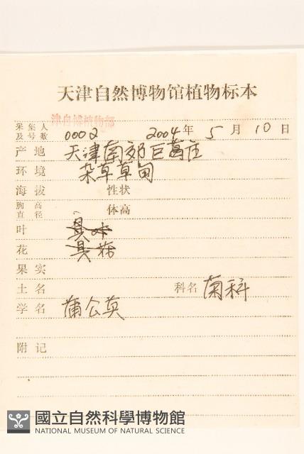 蒲公英藏品圖，第2張