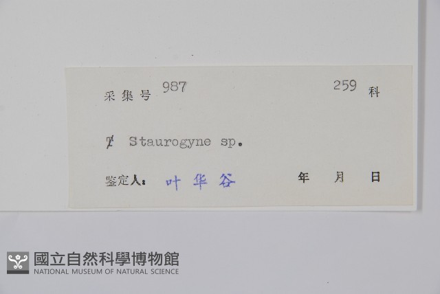 登錄號:S044086藏品圖，第2張