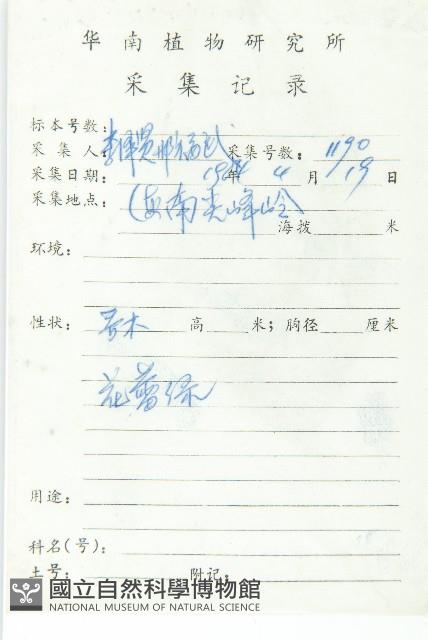 灰毛杜藏品圖，第2張