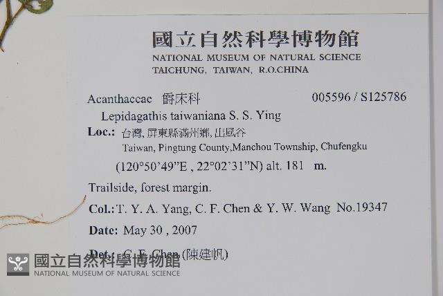 登錄號:S125786藏品圖，第2張