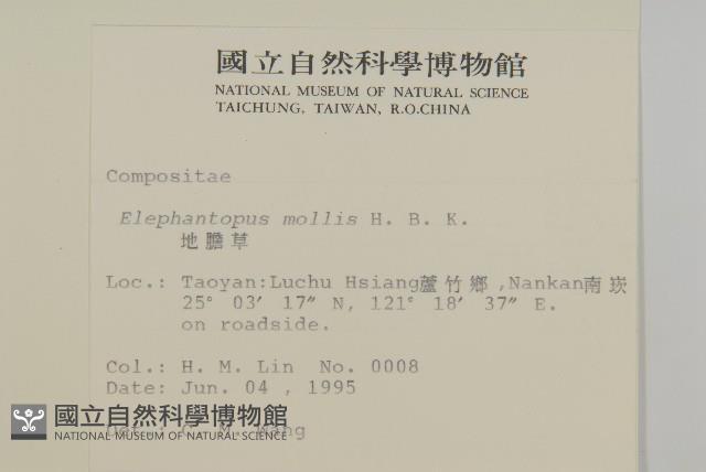 地膽草、毛蓮菜藏品圖，第2張