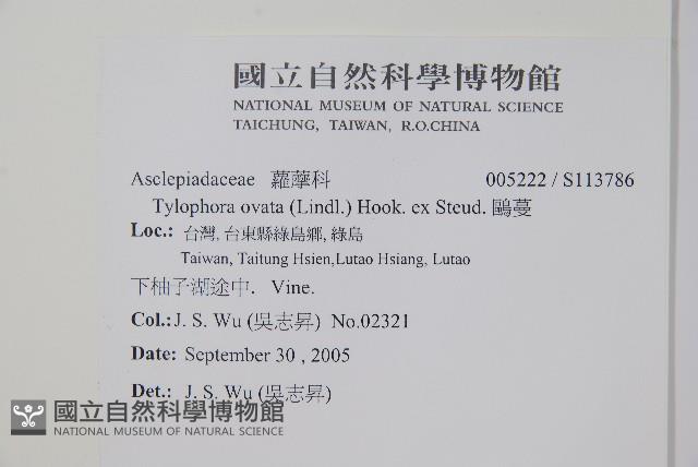 鷗蔓藏品圖，第2張