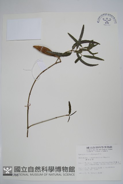 山橙藏品圖，第1張