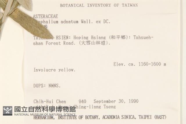 紅面番藏品圖，第2張