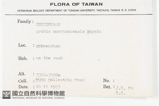 玉山筷子芥藏品圖，第2張