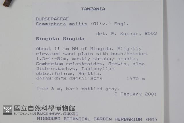 登錄號:S094286藏品圖，第2張