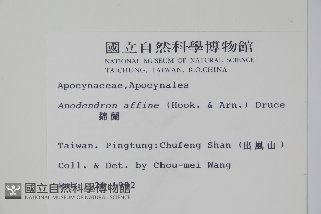 小錦蘭藏品圖，第2張