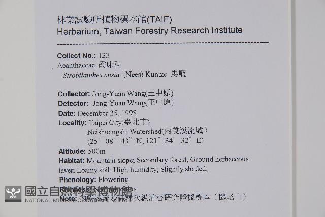 馬藍藏品圖，第2張