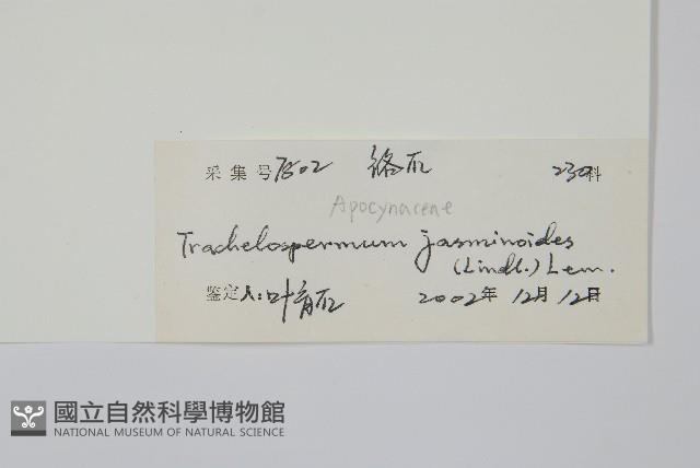 絡石藏品圖，第2張