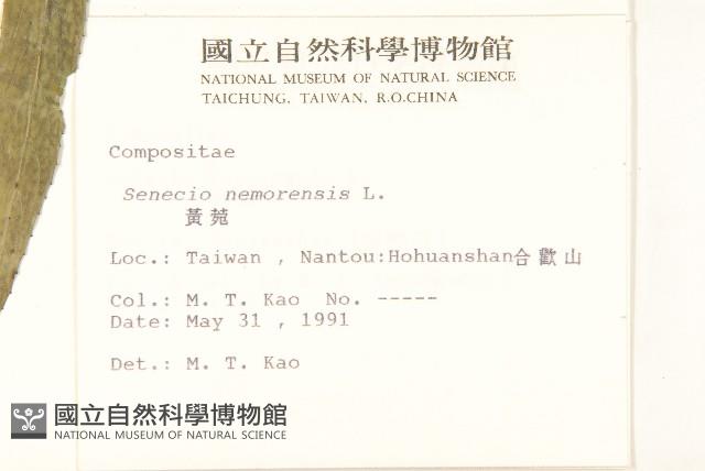 黃菀藏品圖，第2張