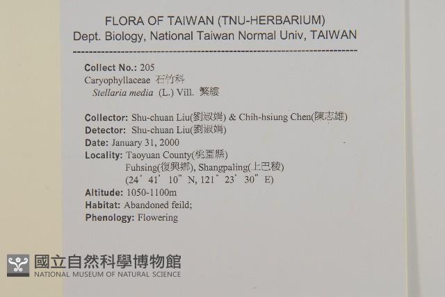 繁縷藏品圖，第2張