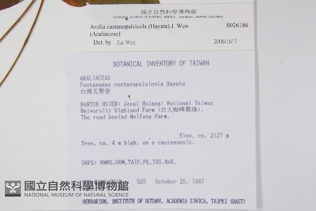 登錄號:S026186藏品圖，第2張