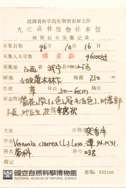 一枝香藏品圖，第2張