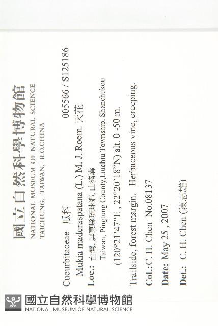 天花藏品圖，第2張