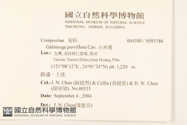 小米菊藏品圖，第2張