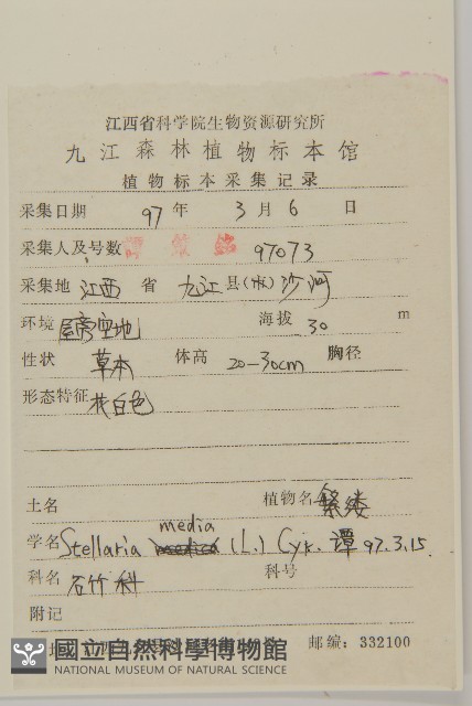 繁縷藏品圖，第2張