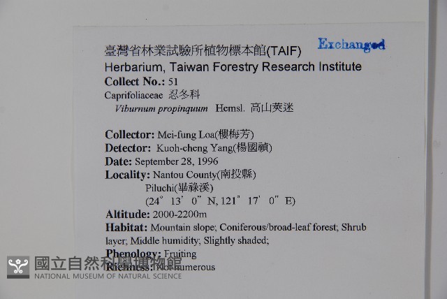 高山莢迷藏品圖，第2張