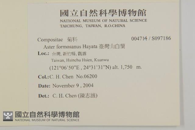 臺灣山白蘭藏品圖，第2張