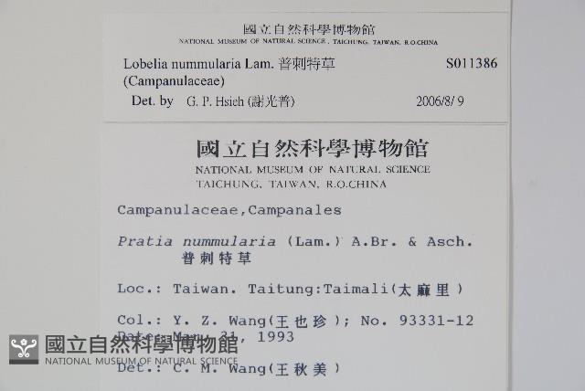 普刺特草藏品圖，第2張