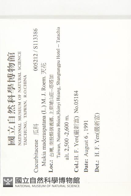 天花藏品圖，第2張