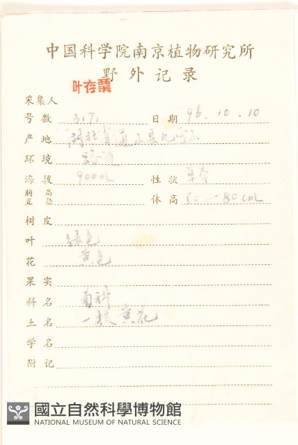 一枝黃花藏品圖，第2張