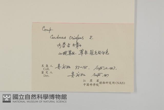 飛廉藏品圖，第2張