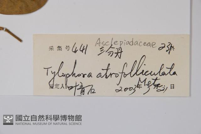 三分丹藏品圖，第2張