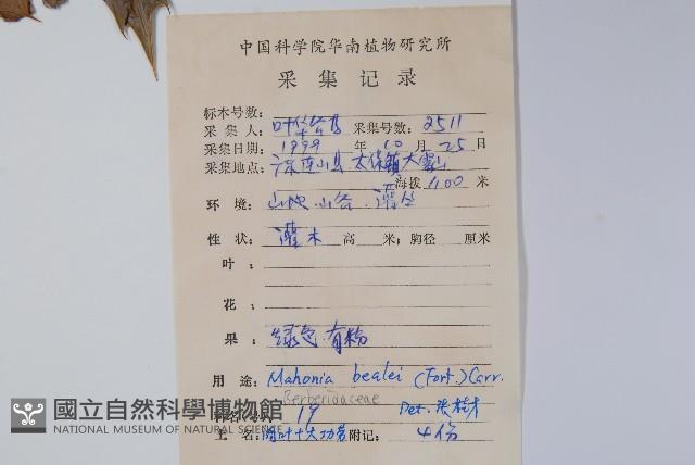 闊葉十大功勞藏品圖，第2張