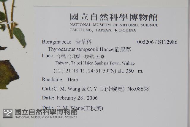 盾果草藏品圖，第2張