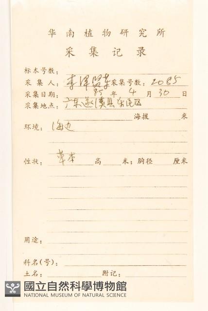 濱剪刀股藏品圖，第2張