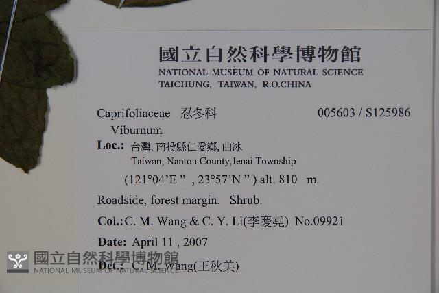 登錄號:S125986藏品圖，第2張