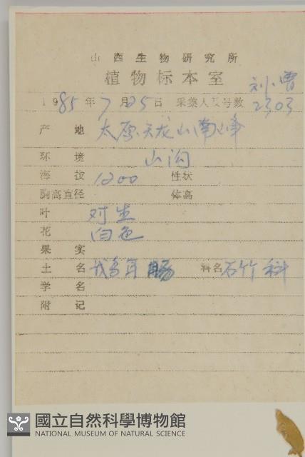 牛繁縷藏品圖，第2張