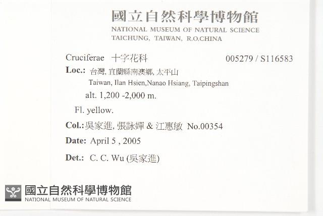 臺灣杜鵑藏品圖，第2張