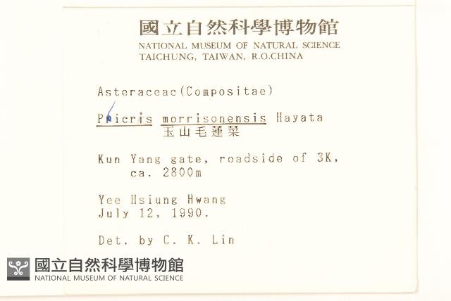 玉山毛蓮菜藏品圖，第2張