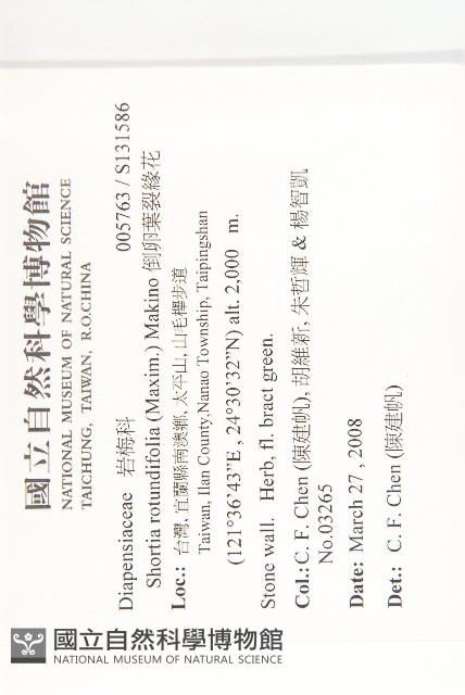 倒卵葉裂緣花藏品圖，第2張