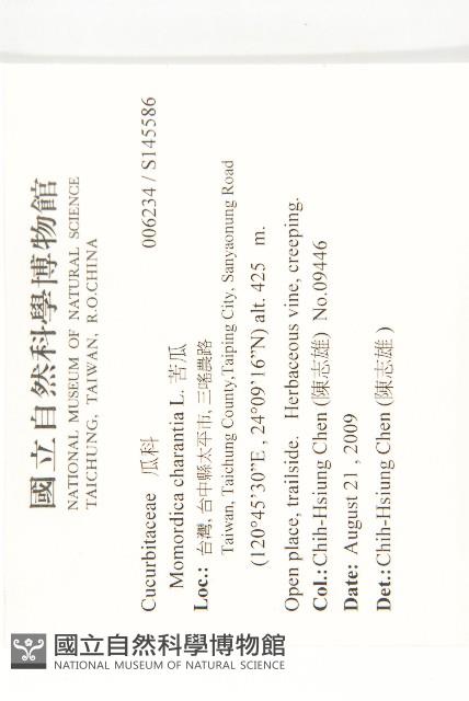 苦瓜藏品圖，第2張