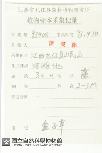 合子草藏品圖，第2張