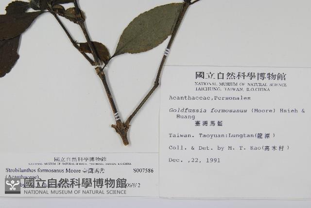 Accession Number:S007586 Collection Image, Figure 2, Total 2 Figures