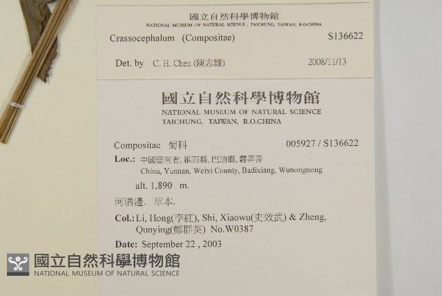 登錄號:S136622藏品圖，第2張